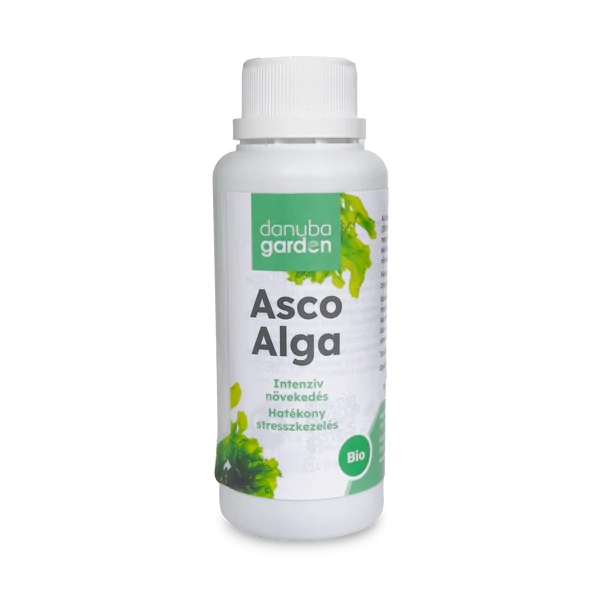 asco alga alga alapú biostimuláns