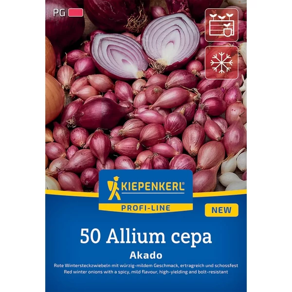 kiepenkerl rote winter lilahagyma dughagyma