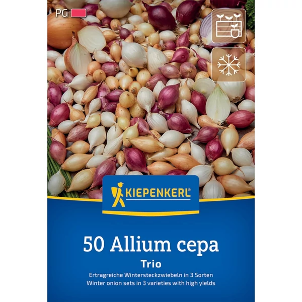 Kiepenkerl Allium Cep Trio vegyes őszi dughagymák