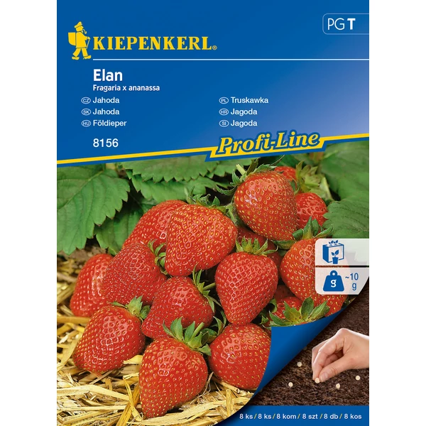 kiepenkerl drazsírozott földieper vetőmag elan