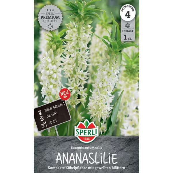 Sperli Eucomis üstökliliom/ananászliliom virághagyma