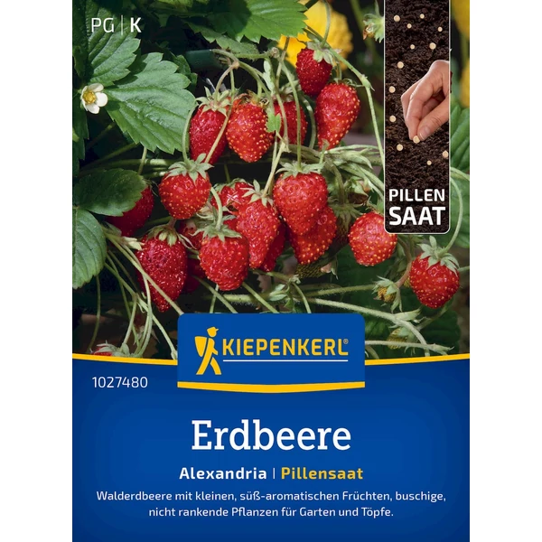 kiepenkerl alexandria erdei szamóca vetőmagdrazsé