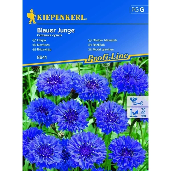 Blauer Junge búzavirág vetőmag