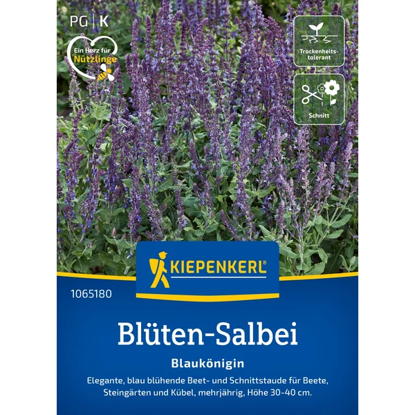 kiepenkerl blaukönigin ligeti zsálya virágmag