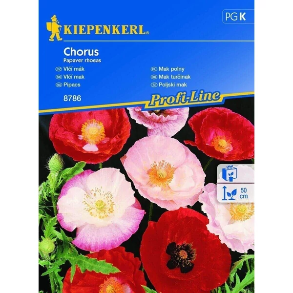 chorus pipacs vetőmag
