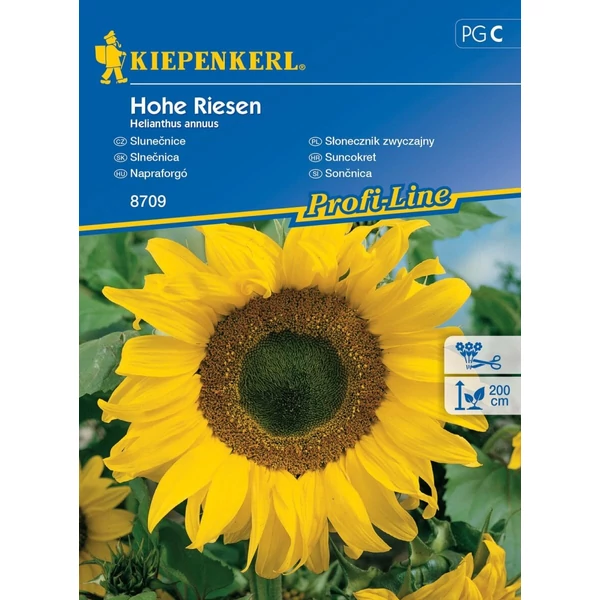 hohe riesen napraforgó vetőmag