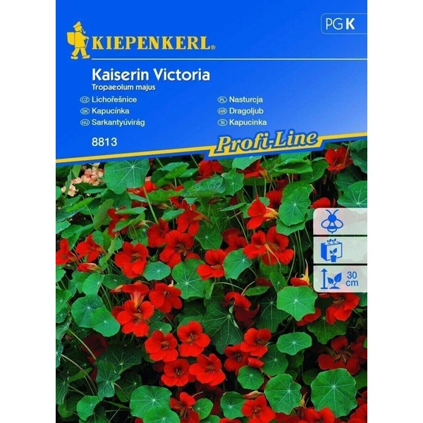 kaiserin victoria sarkantyúvirág vetőmag