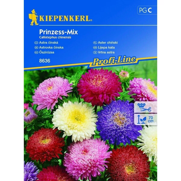 prinzess-mix őszirózsa vetőmag
