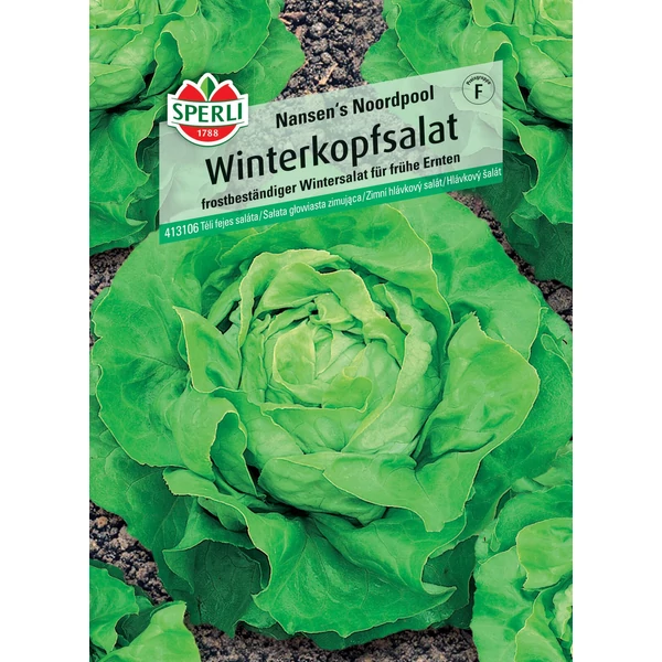 sperli nansen&#039;s noordpool téli fejessaláta vetőmag