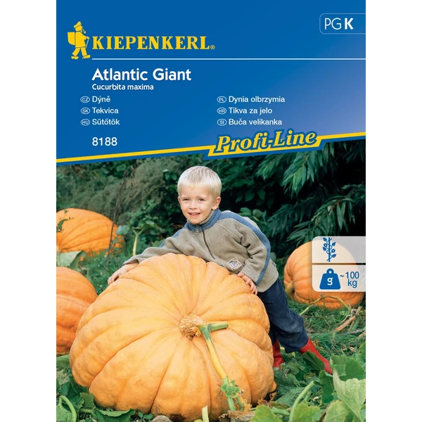 kiepenkerl sütőtök vetőmag atlantic giant
