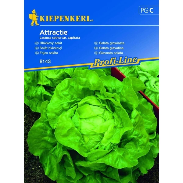 kiepenkerl fejes saláta vetőmag attractie