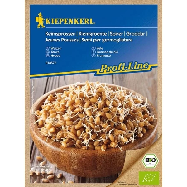 búza csíra bio vetőmag kiepenkerl