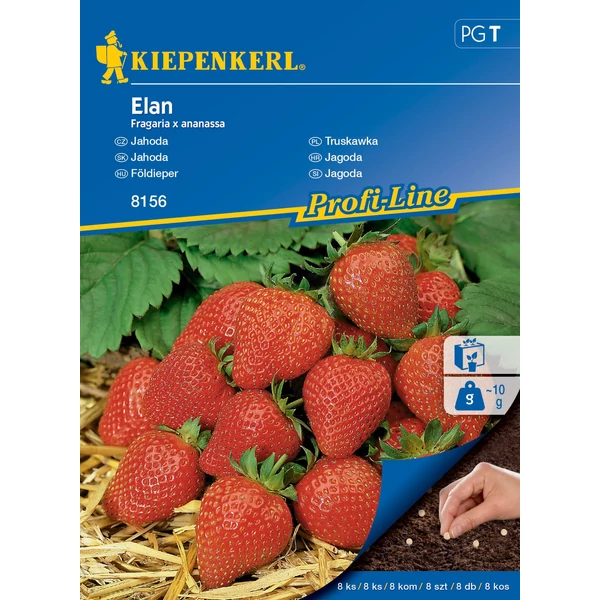 kiepenkerl drazsírozott földieper vetőmag elan