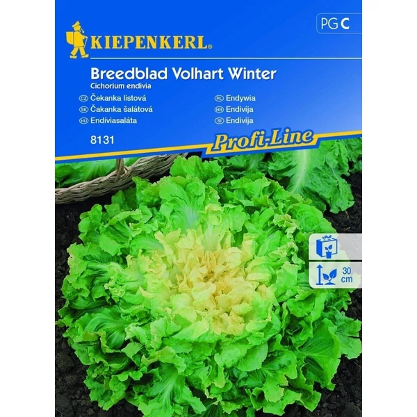 kiepenkerl endíviasaláta vetőmag
