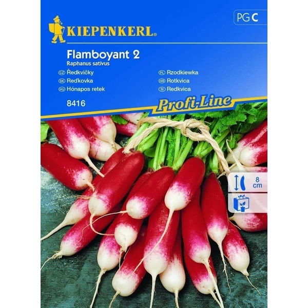 flamboyant 2 hónapos retek vetőmag