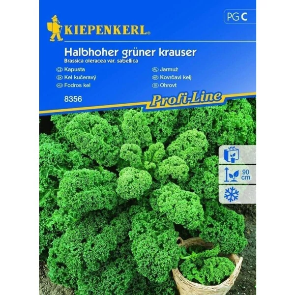 halbhoher grüner krauser fodros kel vetőmag