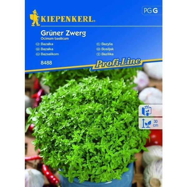 grüner zwerg bazsalikom vetőmag