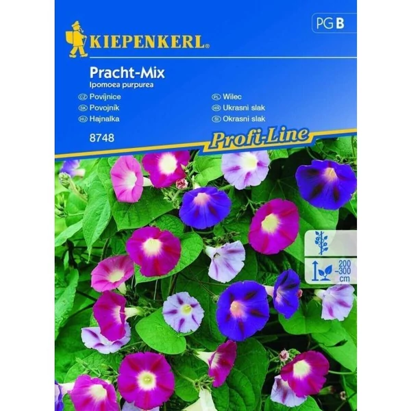 pracht-mix hajnalka vetőmag