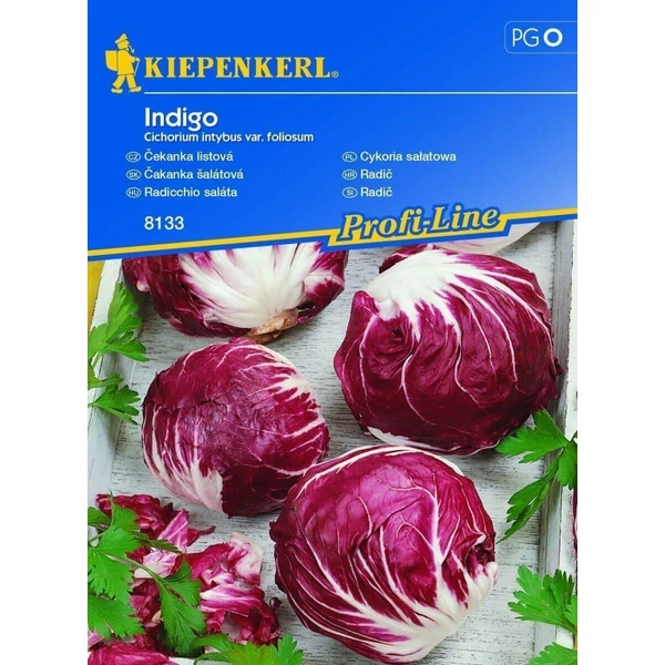 kiepenkerl  indigo radicchio saláta vetőmag