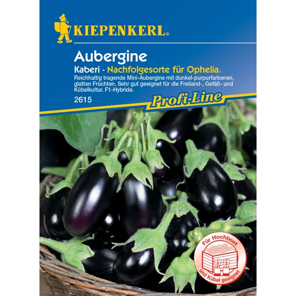 kaberi mini padlizsán