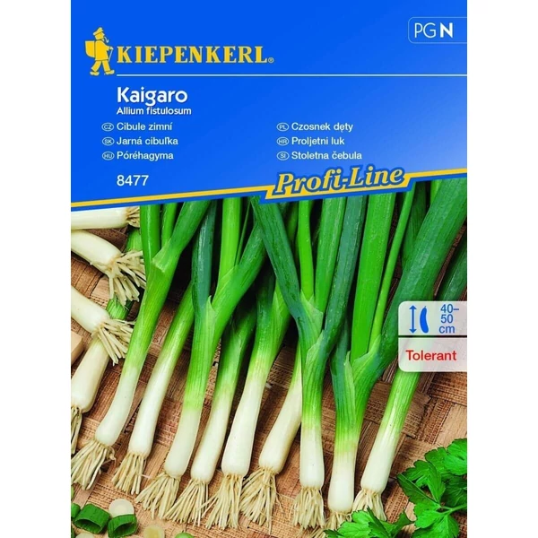 kaigaro kötözőhagyma vetőmag
