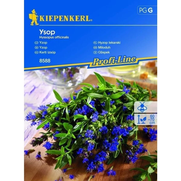 kerti izsóp vetőmag