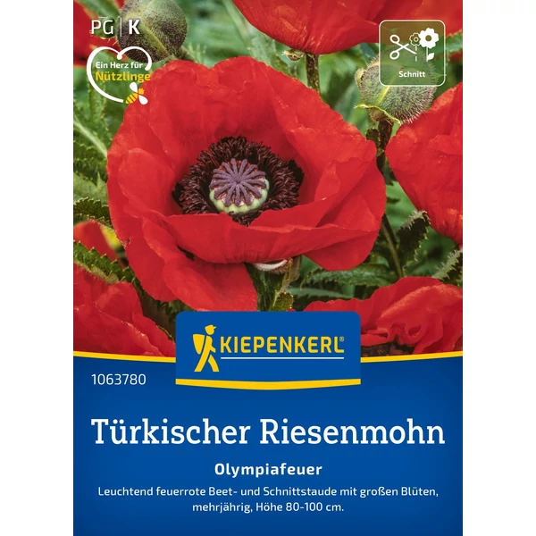kiepenkerl török óriáspipacs