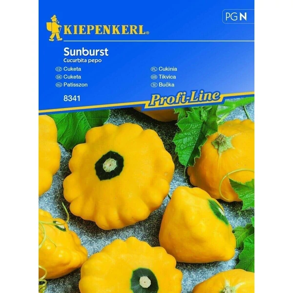 sunburst patisszon vetőmag