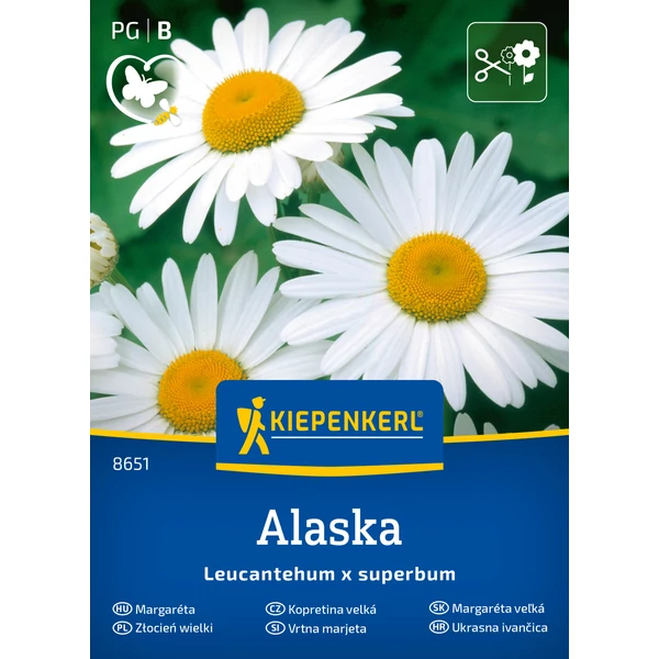 kiepenkerl Alaska margaréta vetőmag