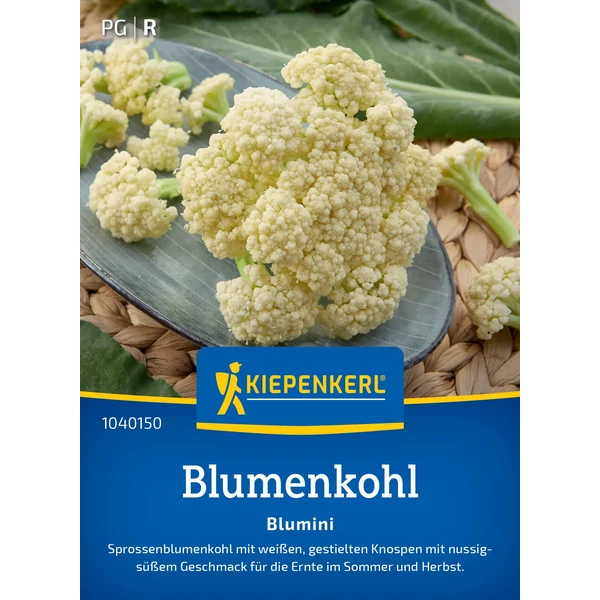 kiepenkerl blumini karfiol virágbimbó