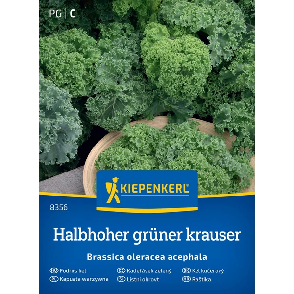 halbhoher grüner krauser fodros kel vetőmag