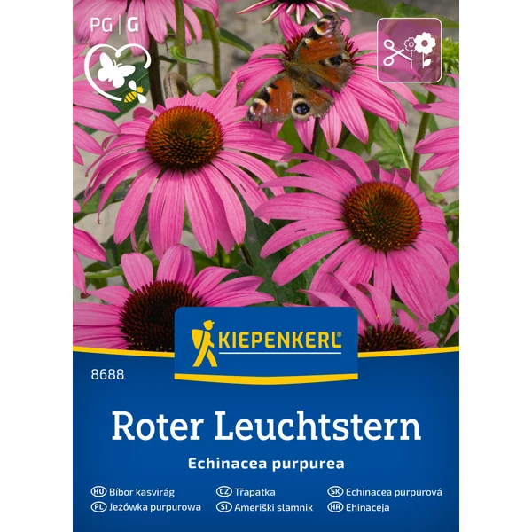 kiepenkerl roter leuchtstern bíbor kasvirág vetőmag