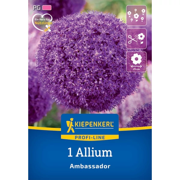 Kiepenkerl Ambassador díszhagyma virághagyma