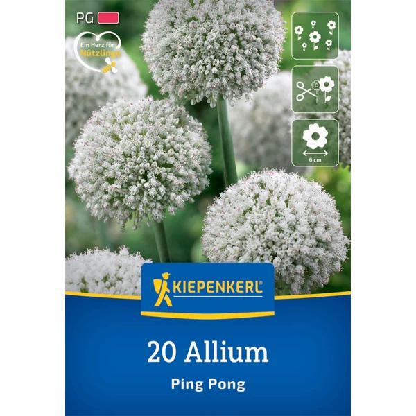 kiepenkerl allium ping pong díszhagyma virághagymák