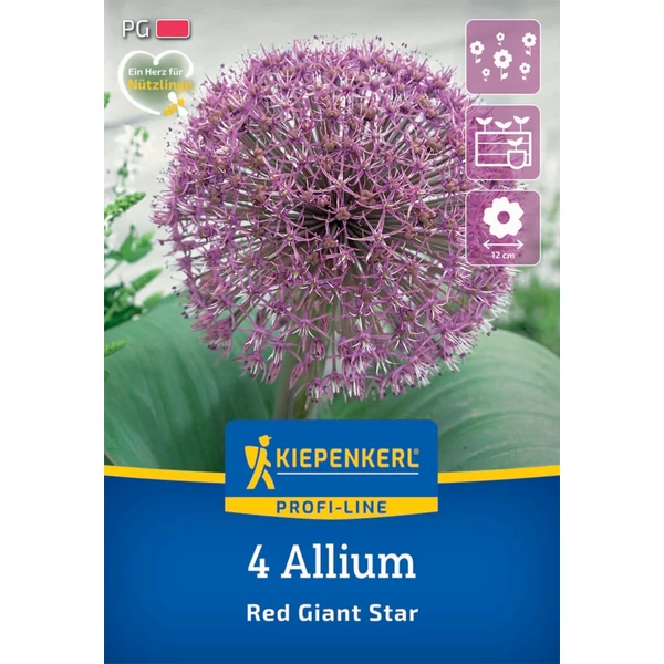 kiepenkerl red giant star díszhagyma virághagymák