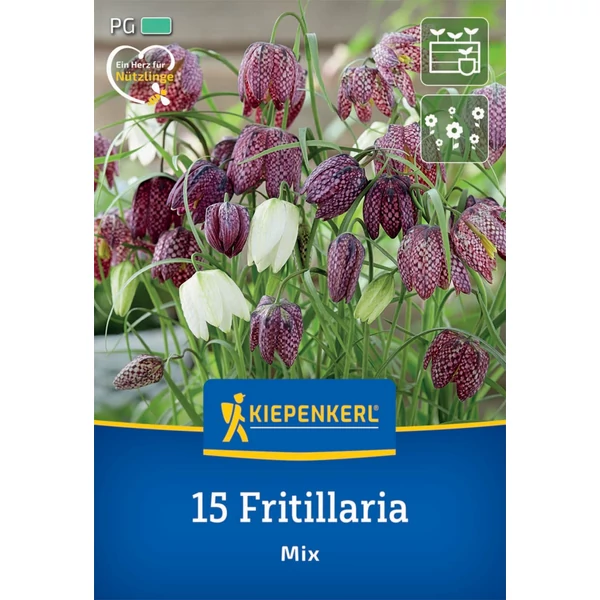 kiepenkerl fritillaria meleagris mix vegyes kockásliliom virághagymák