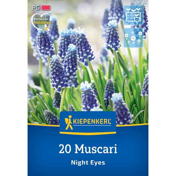 kiepenkerl night eyes gyöngyike virághagymák