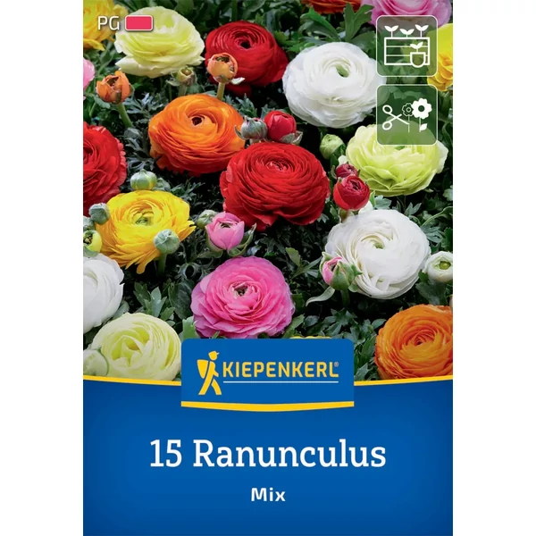 kiepenkerl vegyes ázsiai boglárka virághagymák