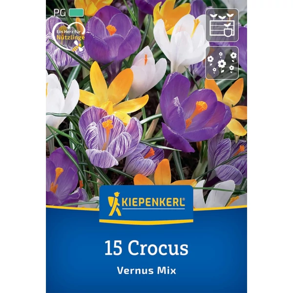 Kiepenkerl nagyvirágú krókusz vernus virághagyma