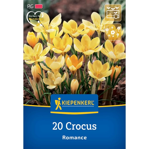 kiepenkerl romance botanikai krókusz virághagymák