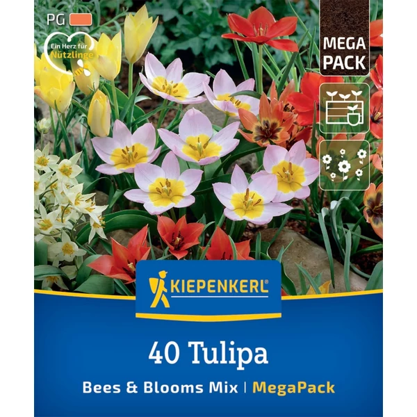 kiepenkerl botanikai tulipán virághagyma összeállítás