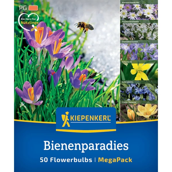 kiepenkerl bienenparadies virághagyma összeállítás