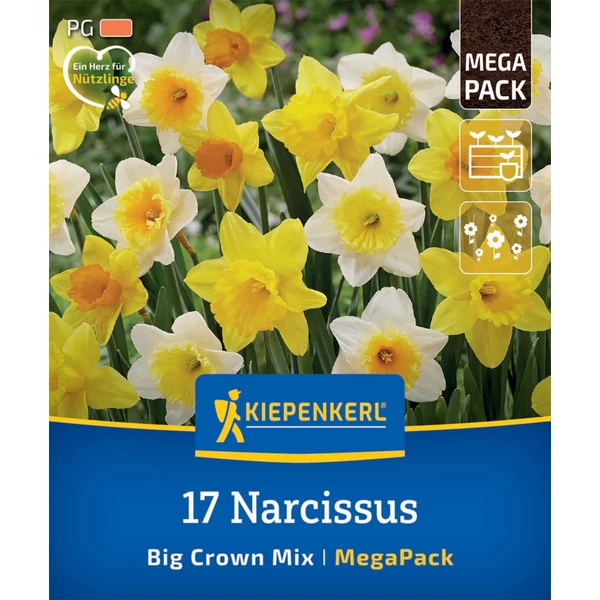 kiepenkerl nagyvirágú nárcisz virághagymák mix mega pack