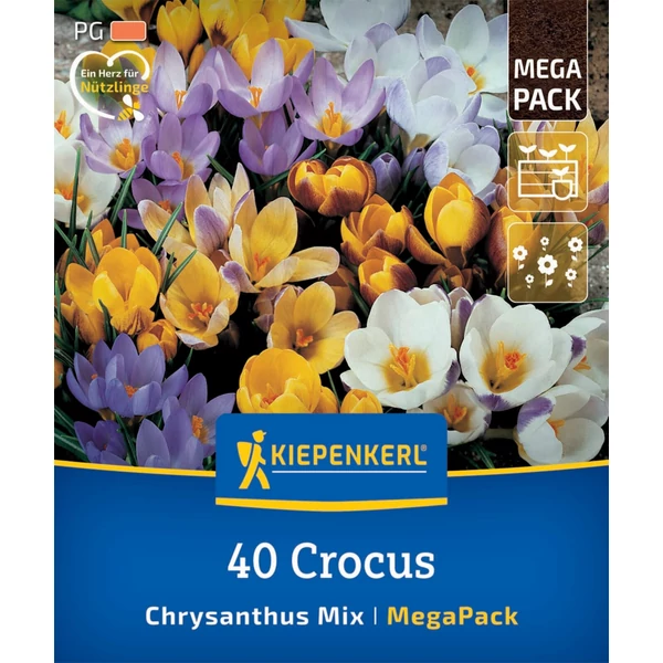 kiepenkerl vegyes botanikai krókusz virághagyma mega pack