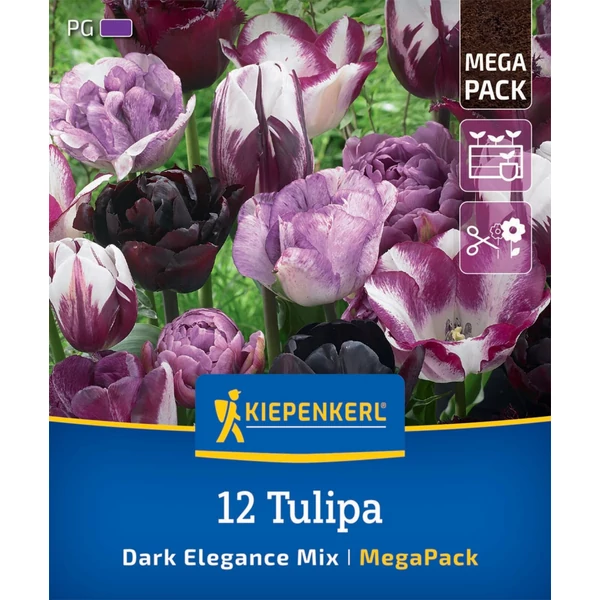 kiepenkerl pastell-mix vegyes tulipán virághagyma