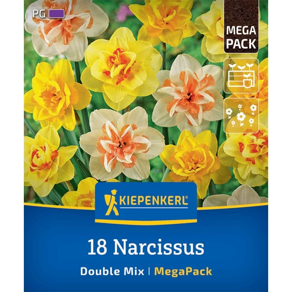 kiepenkerl double mix teltvirágú nárcisz virághagymák mega pack