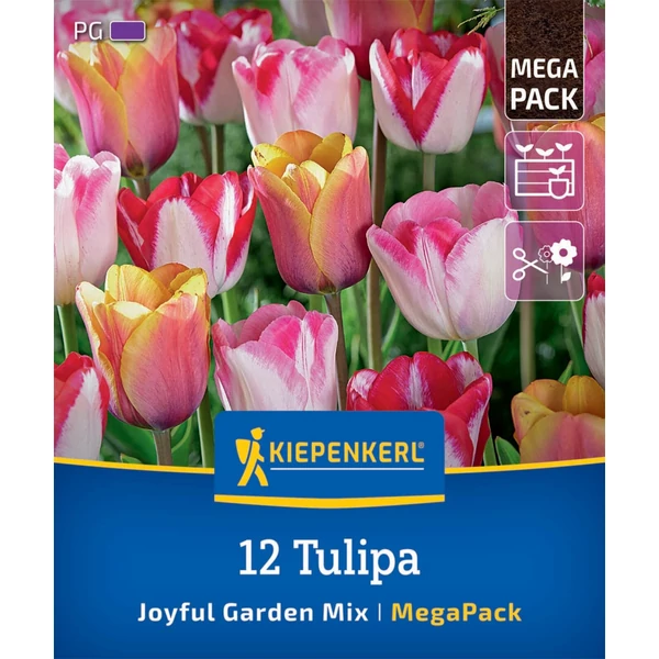 kiepenkerl joyful garden duo tulipán virághagymák