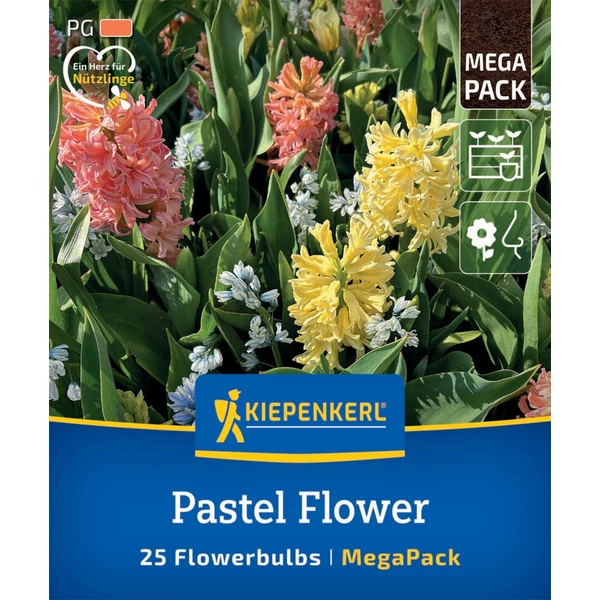 kiepenkerl pastell-farben-mix vegyes jácint virághagymák