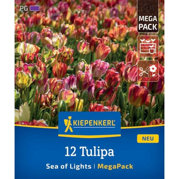 kiepenkerl sea-of-lights-vegyes tulipán virághagymák megapack