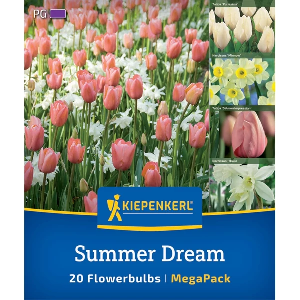 kiepenkerl summer dreams virághagyma összeállítás